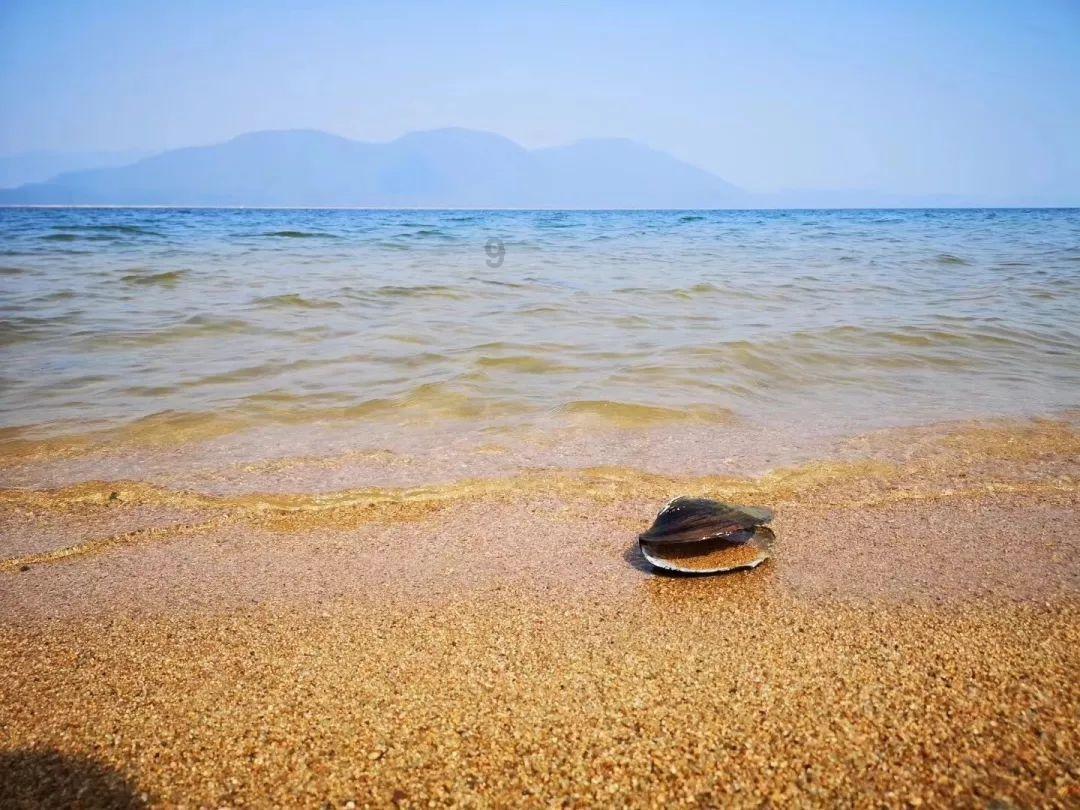 美发沙龙设计师