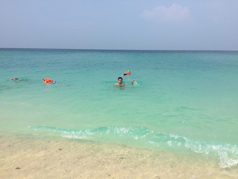 小红帽的冒险之旅